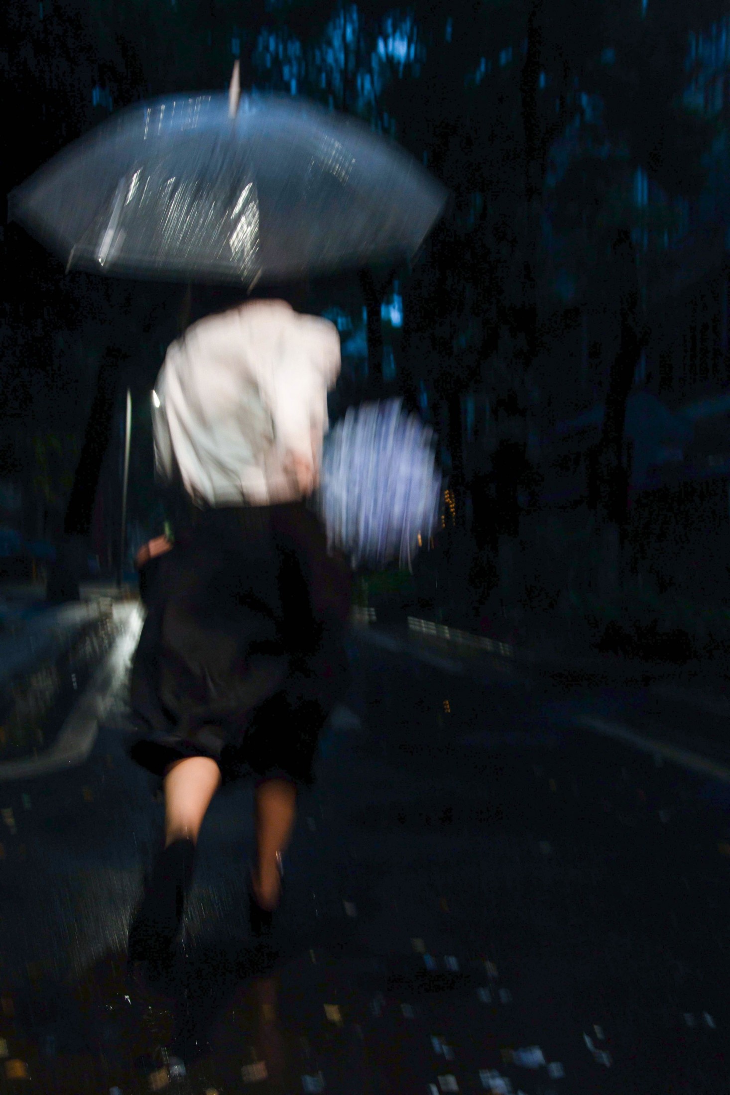 《生命的丰盈不只在雨季，还因为我曾经来过。》[30P]