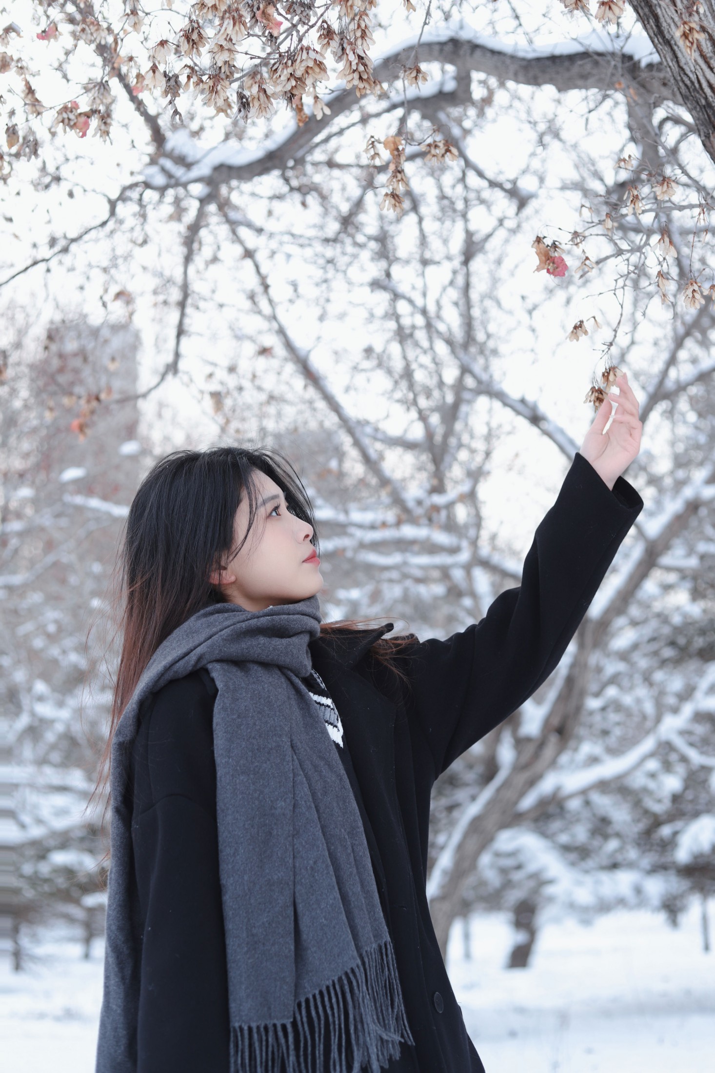 《白雪中的你》[9P]