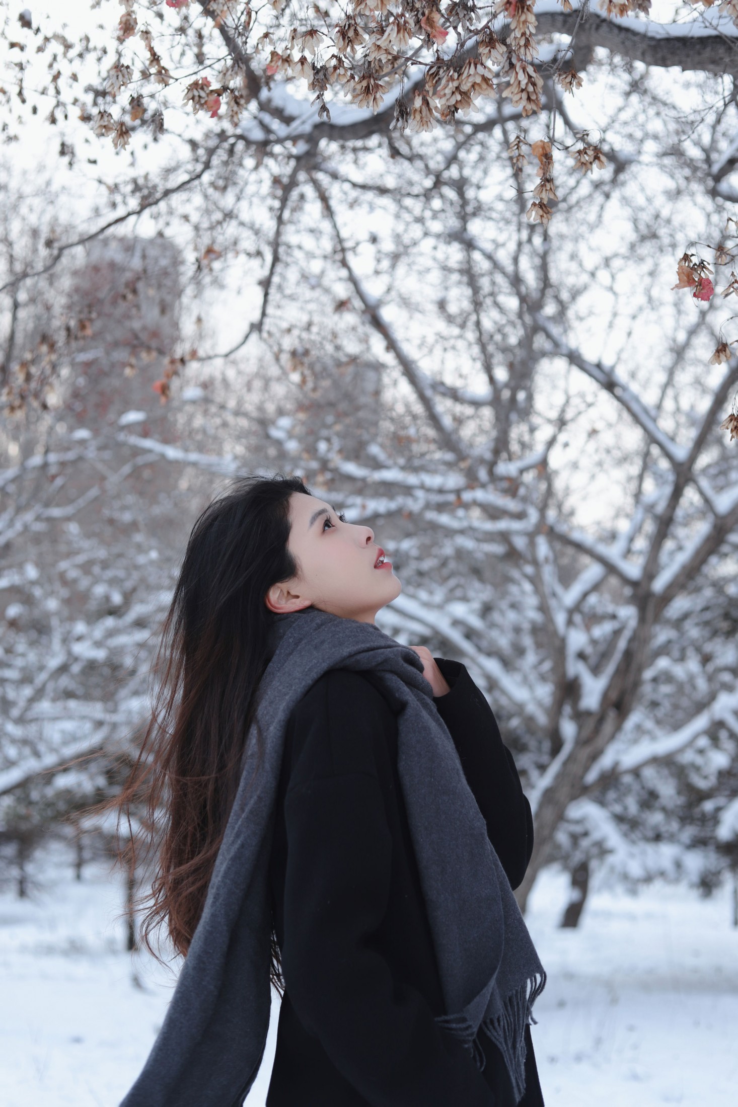 《白雪中的你》[9P]