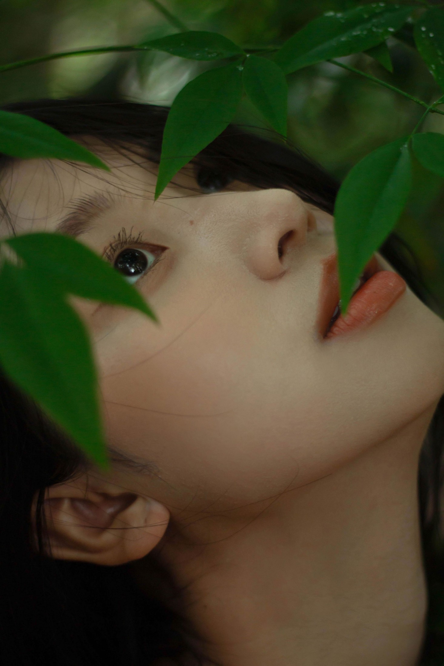 《像植物一样呼吸》[25P]