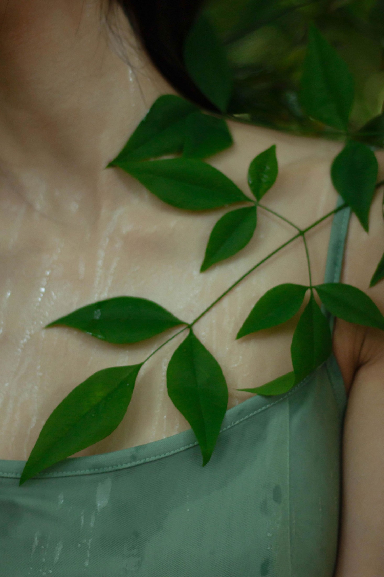 《像植物一样呼吸》[25P]