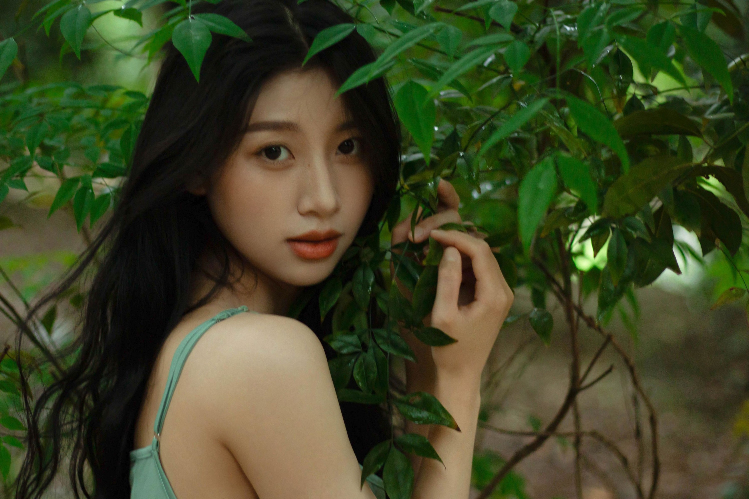 《像植物一样呼吸》[25P]