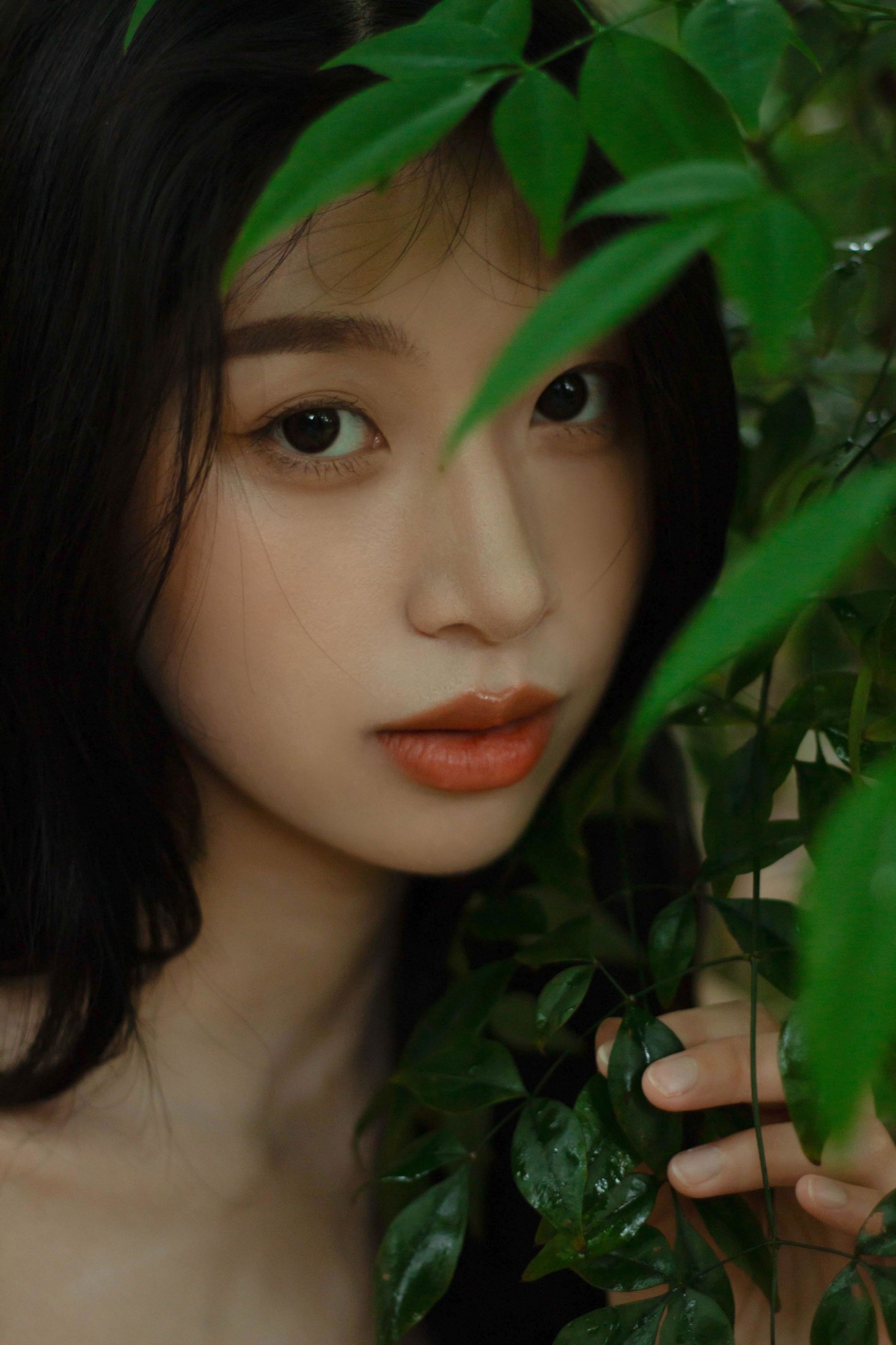 《像植物一样呼吸》[25P]