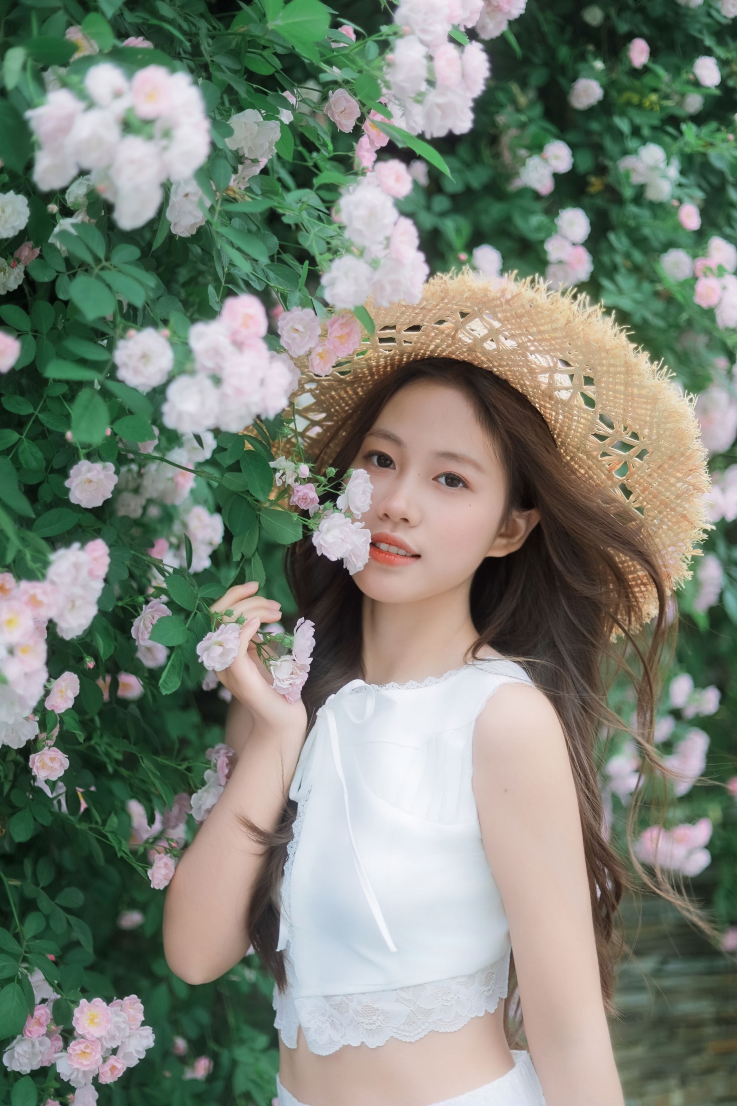 《蔷薇花》[39P]