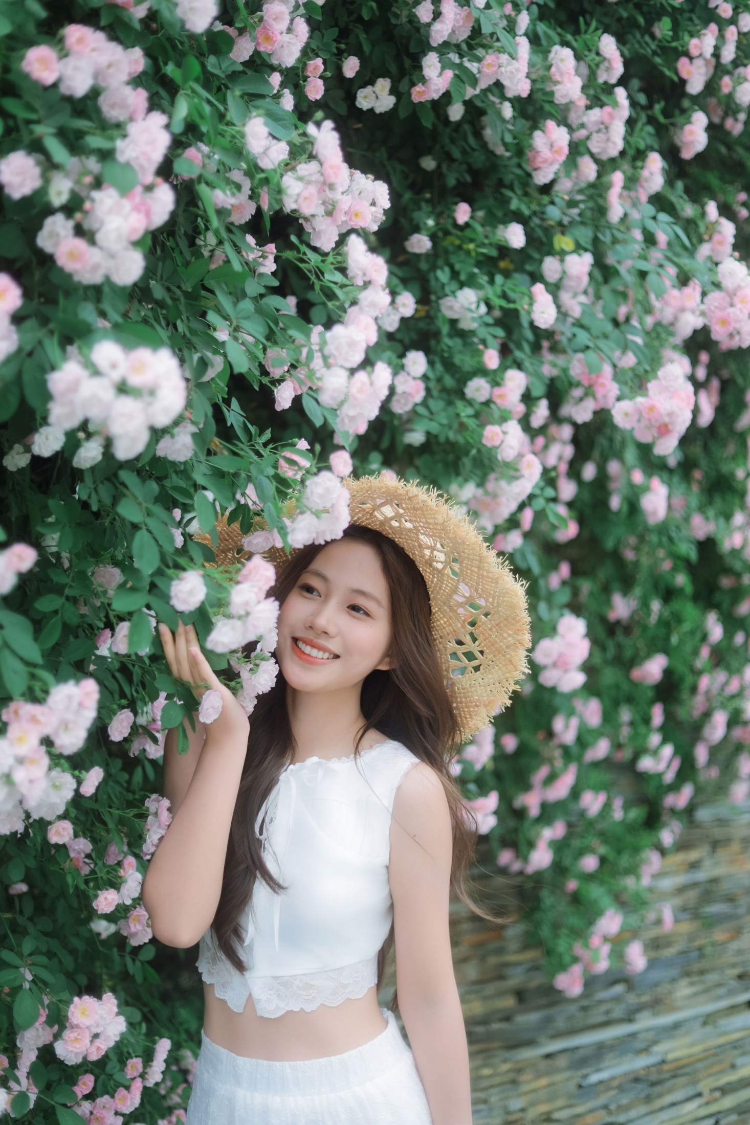 《蔷薇花》[39P]