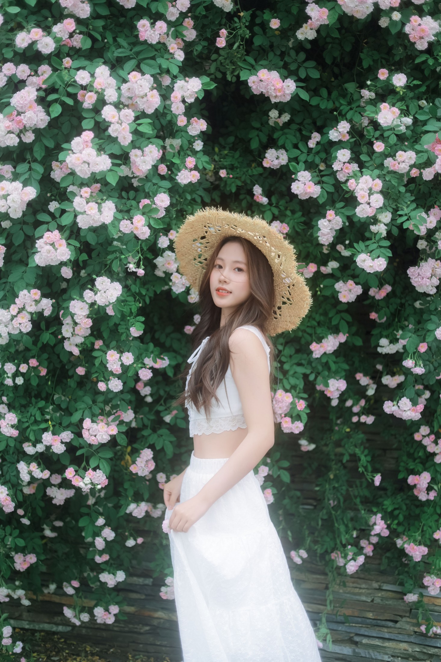 《蔷薇花》[39P]