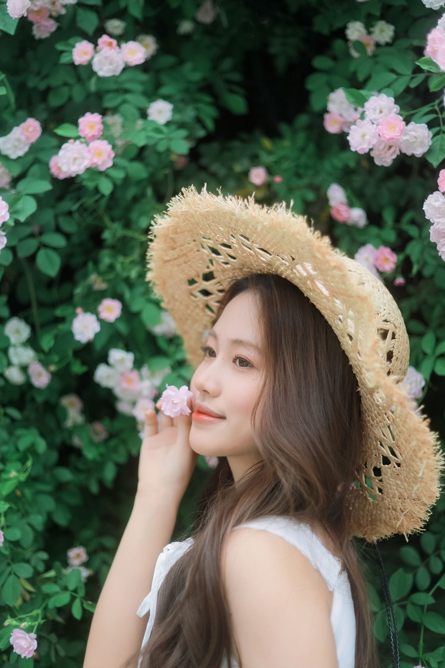 《蔷薇花》[39P]