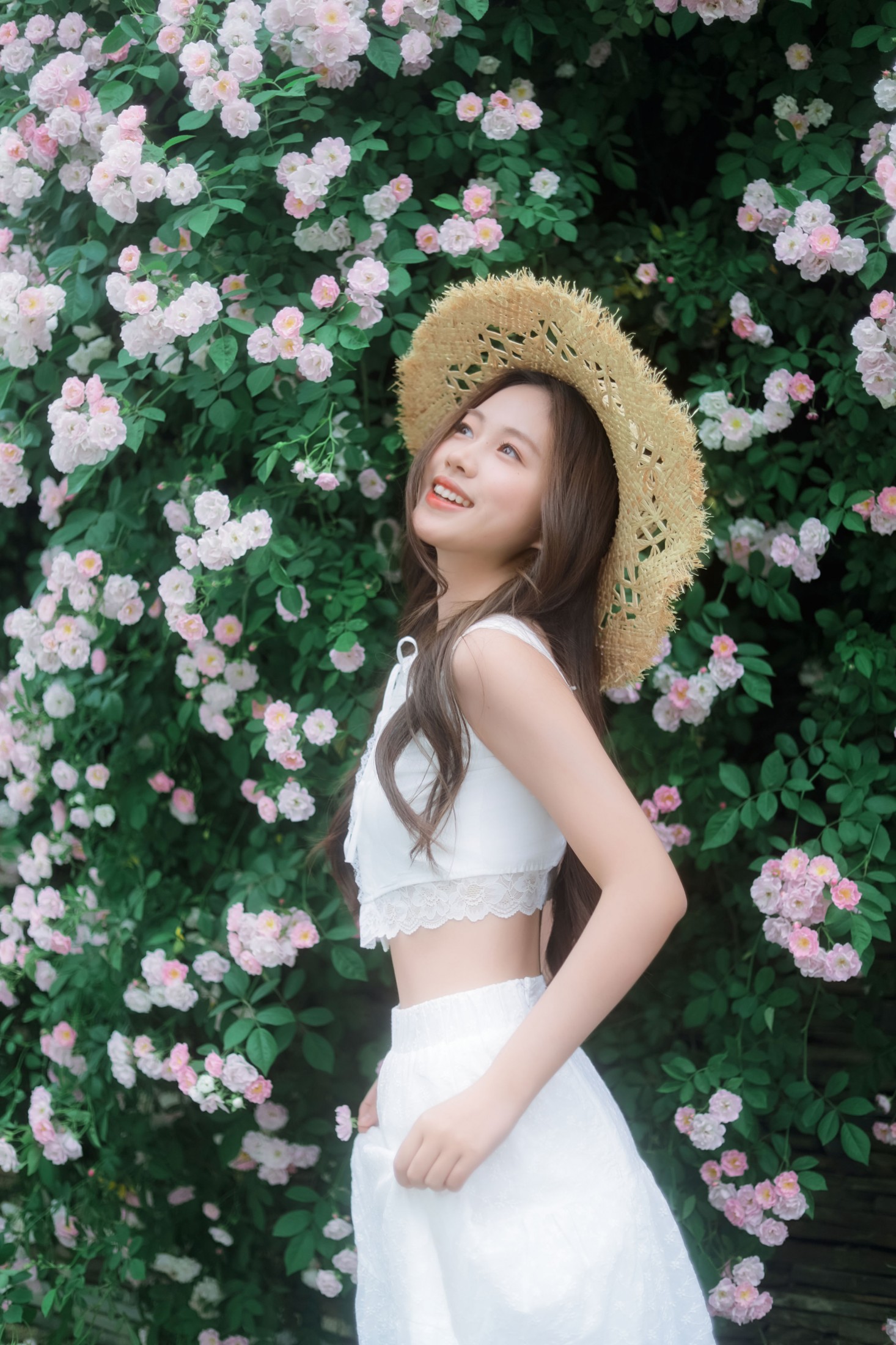 《蔷薇花》[39P]