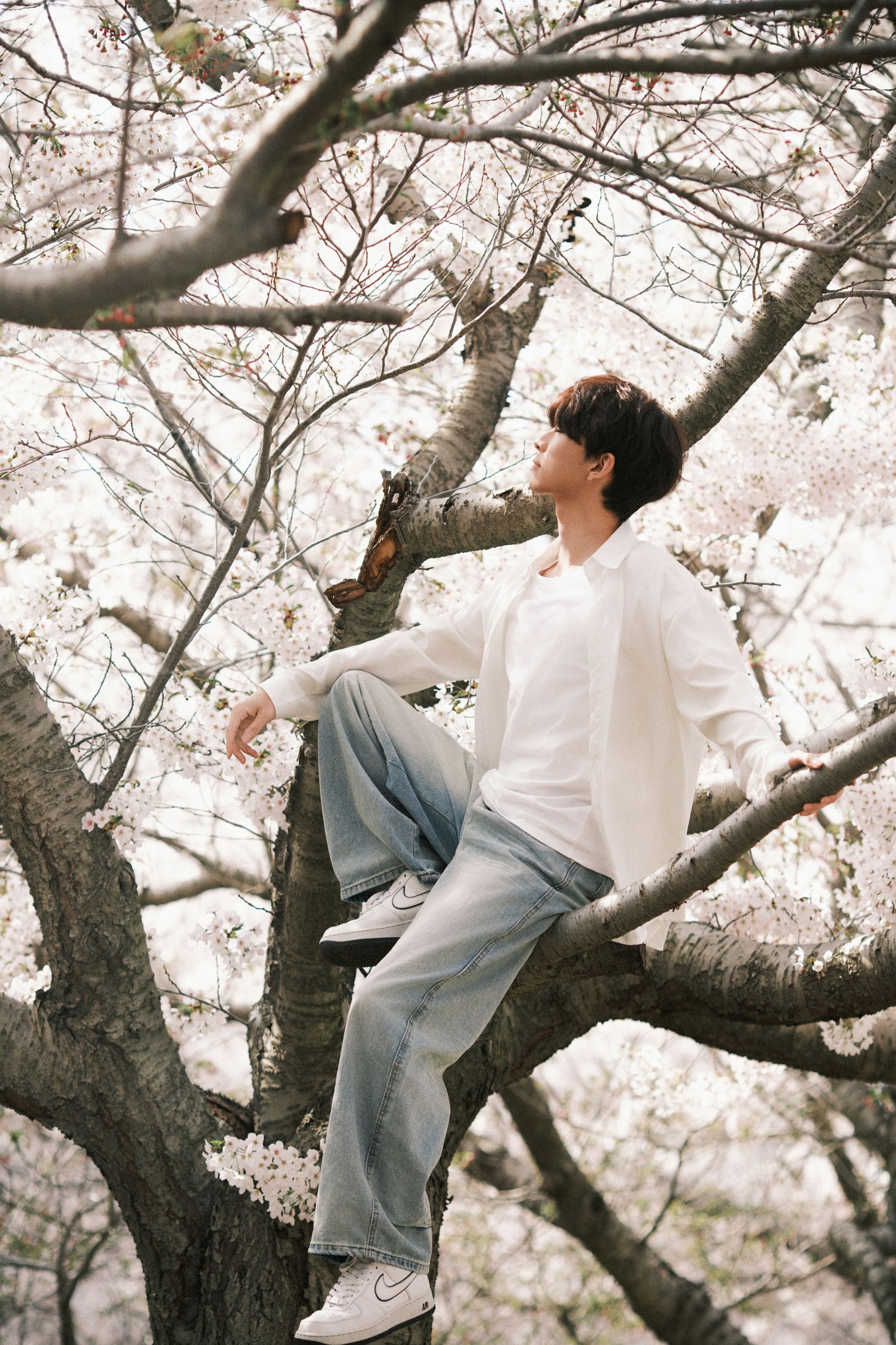 《樱花树下的少年》[52P]