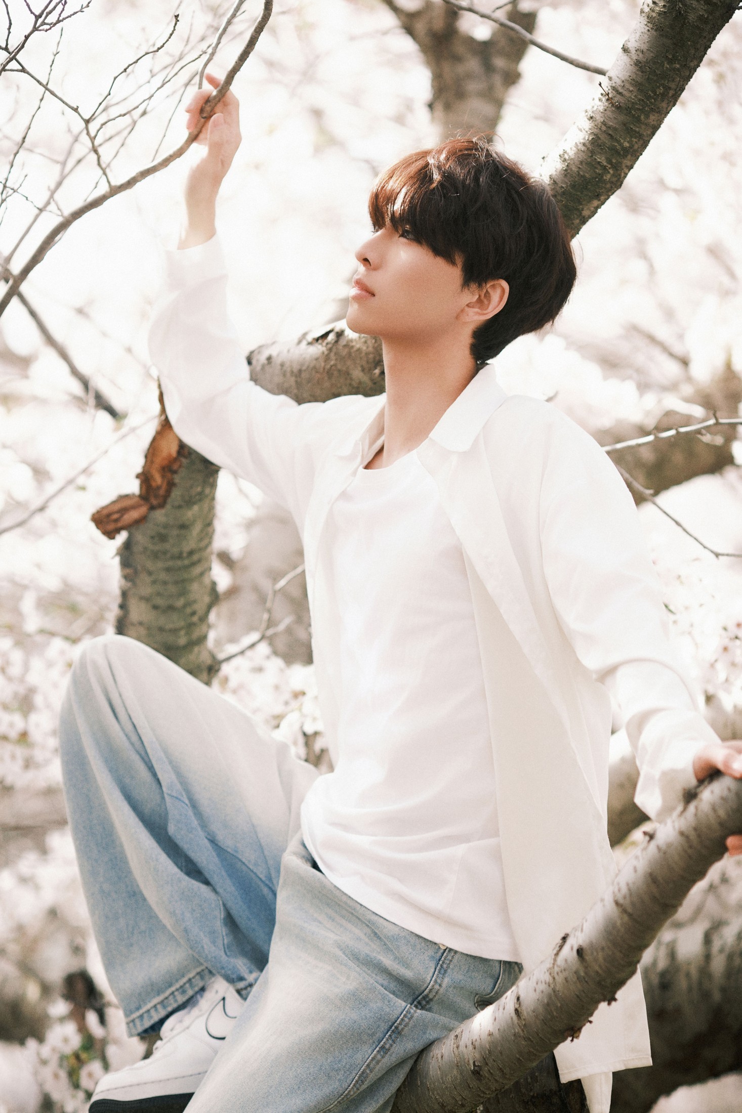 《樱花树下的少年》[52P]