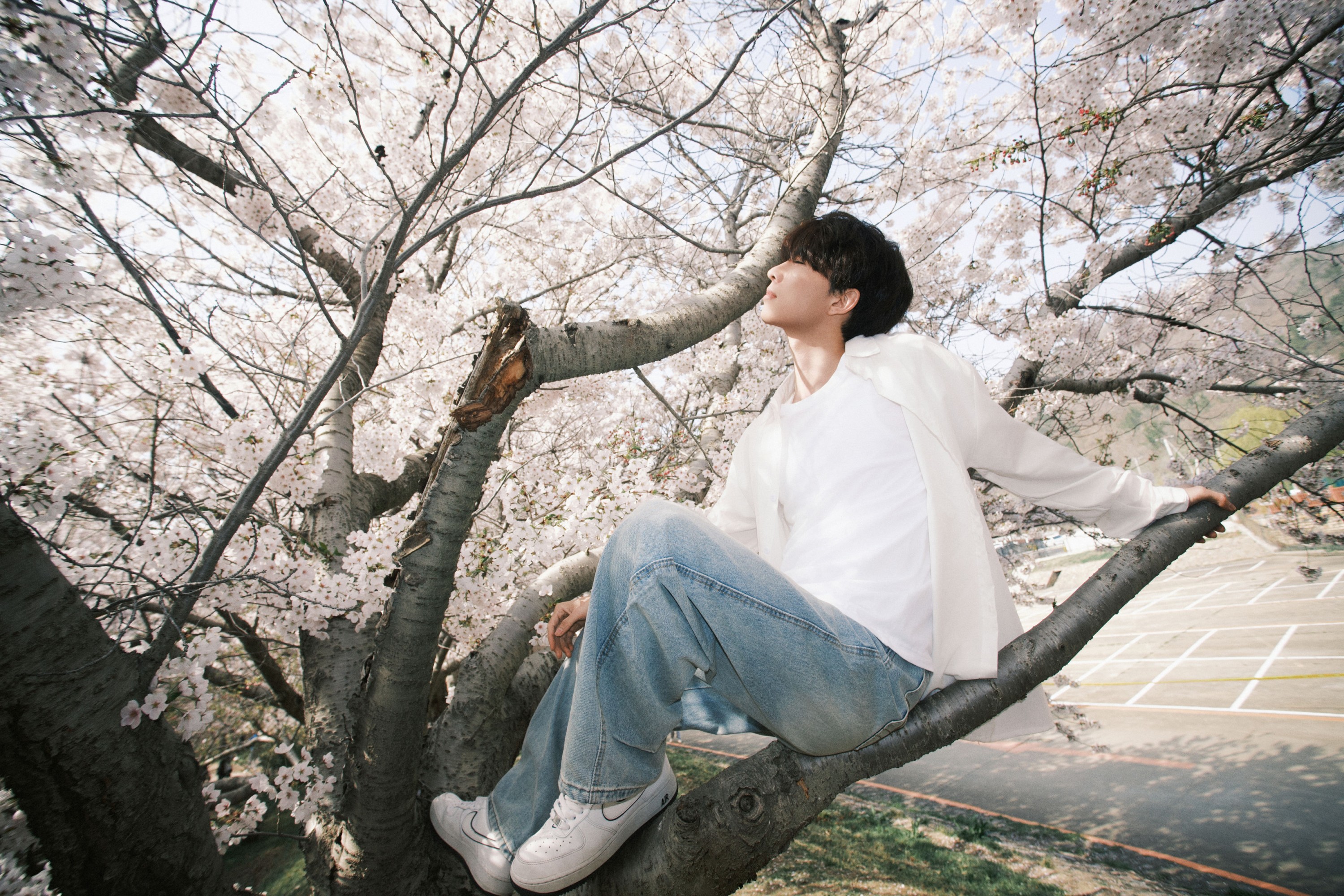 《樱花树下的少年》[52P]