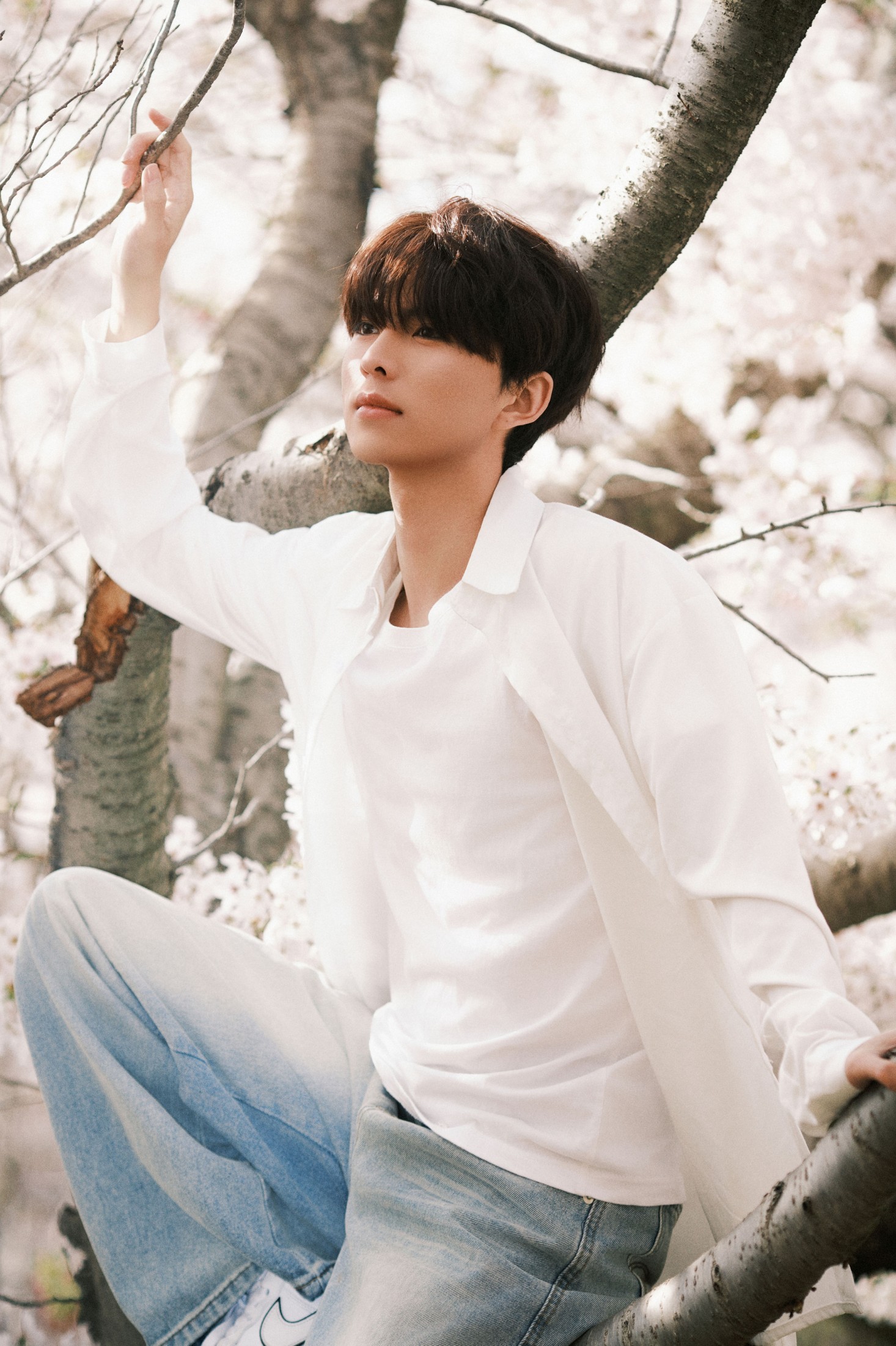 《樱花树下的少年》[52P]