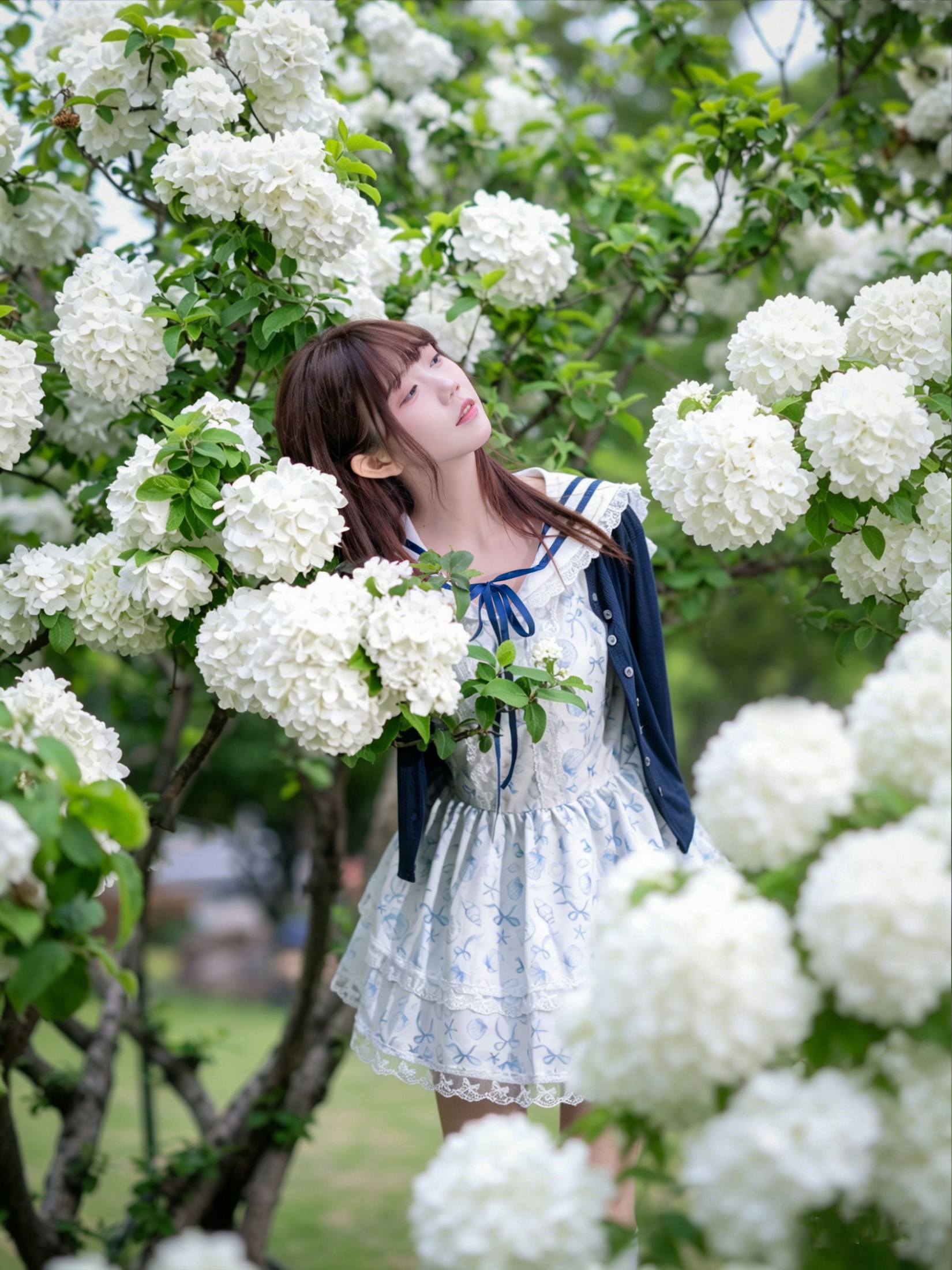 《木绣球 少女》[19P]