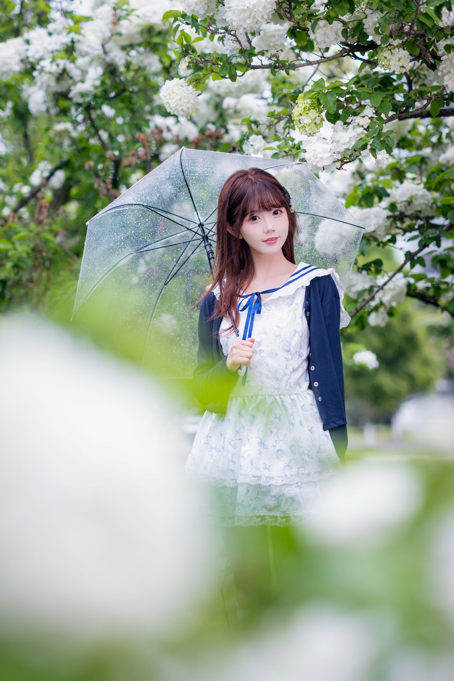 《木绣球 少女》[19P]