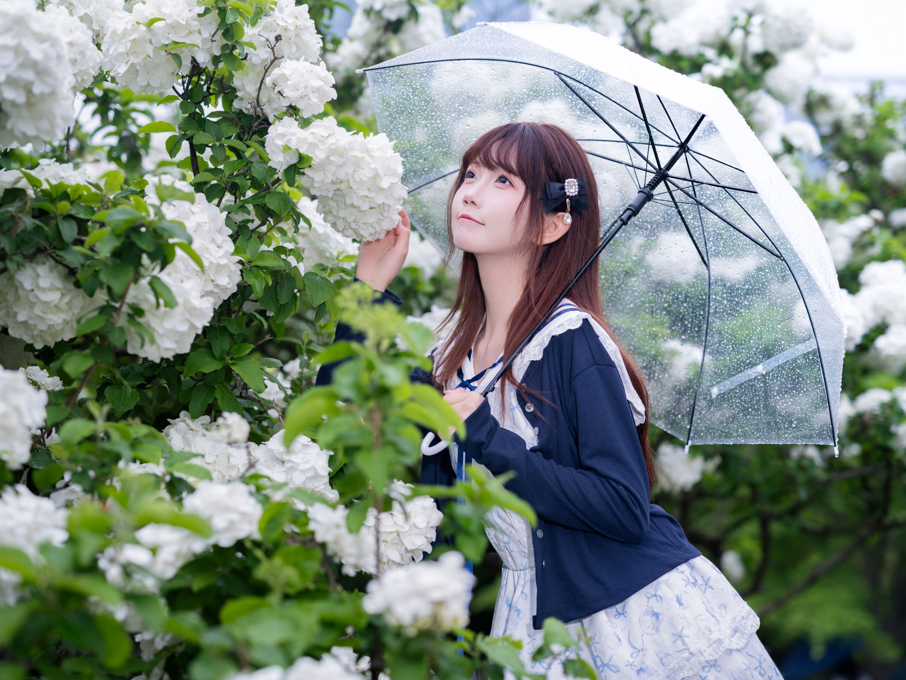 《木绣球 少女》[19P]