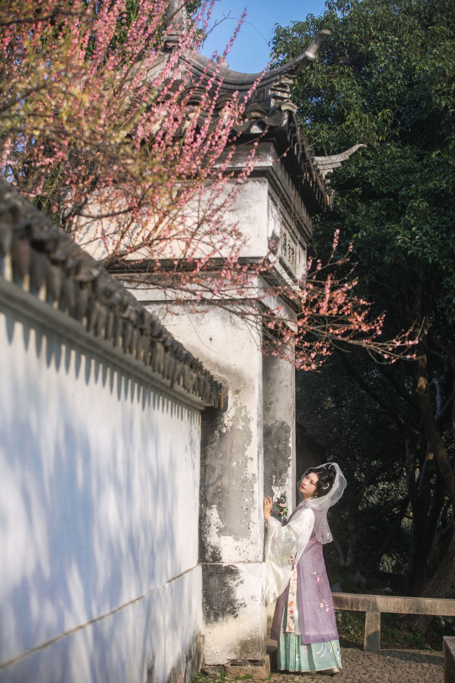 《妙玉妙玉》[13P]