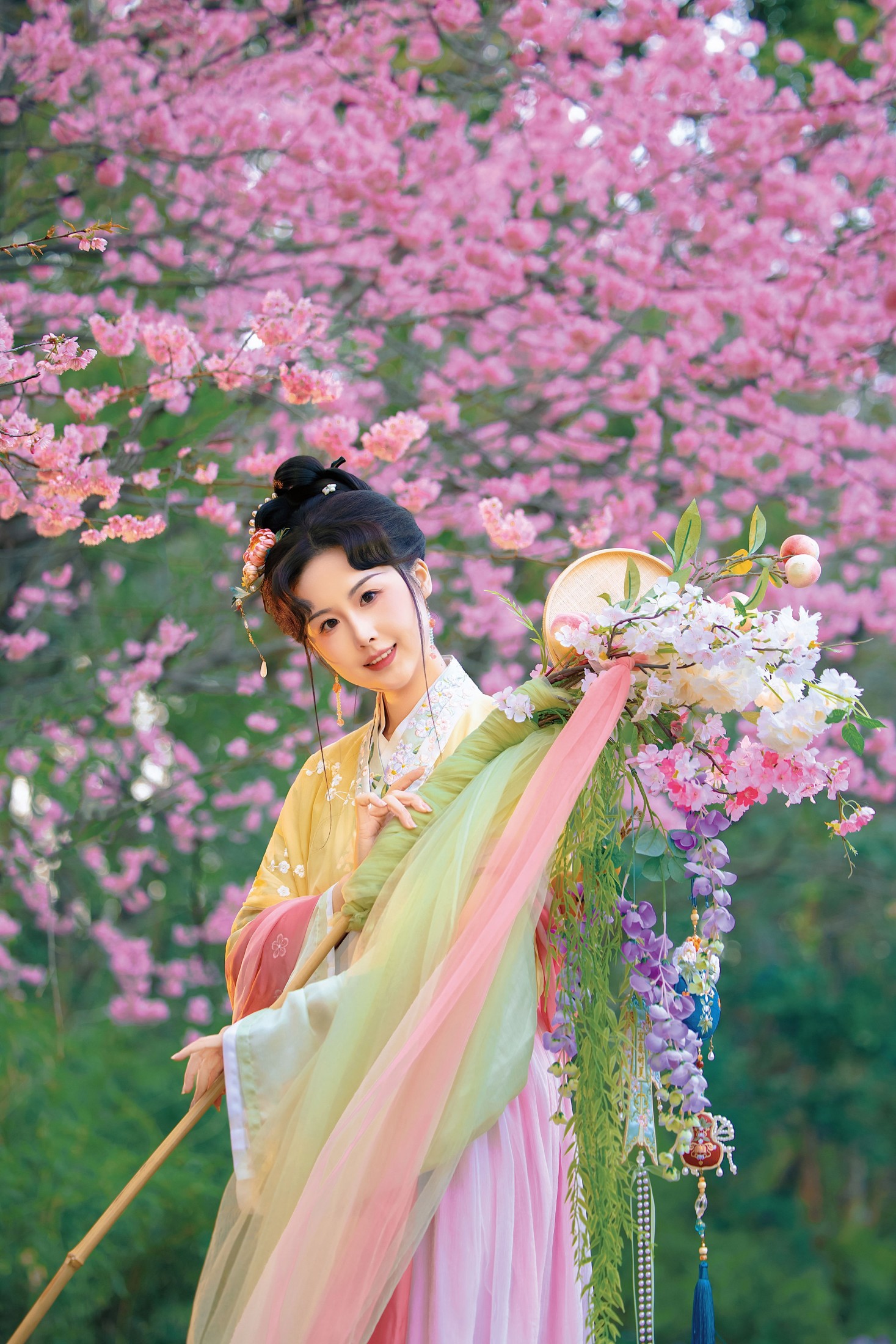 《一枝春绽放》[11P]