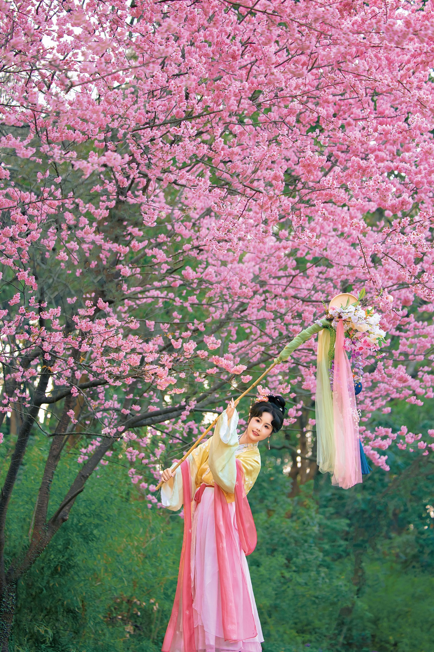 《一枝春绽放》[11P]