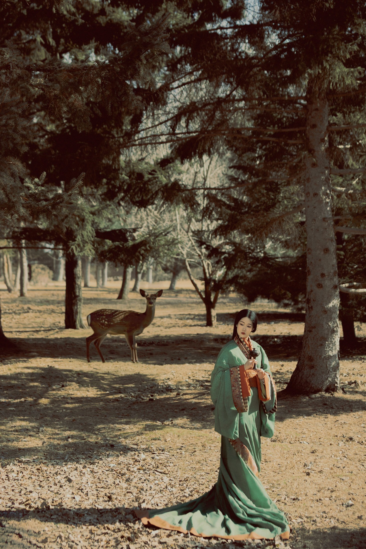 《苍松古道》[40P]