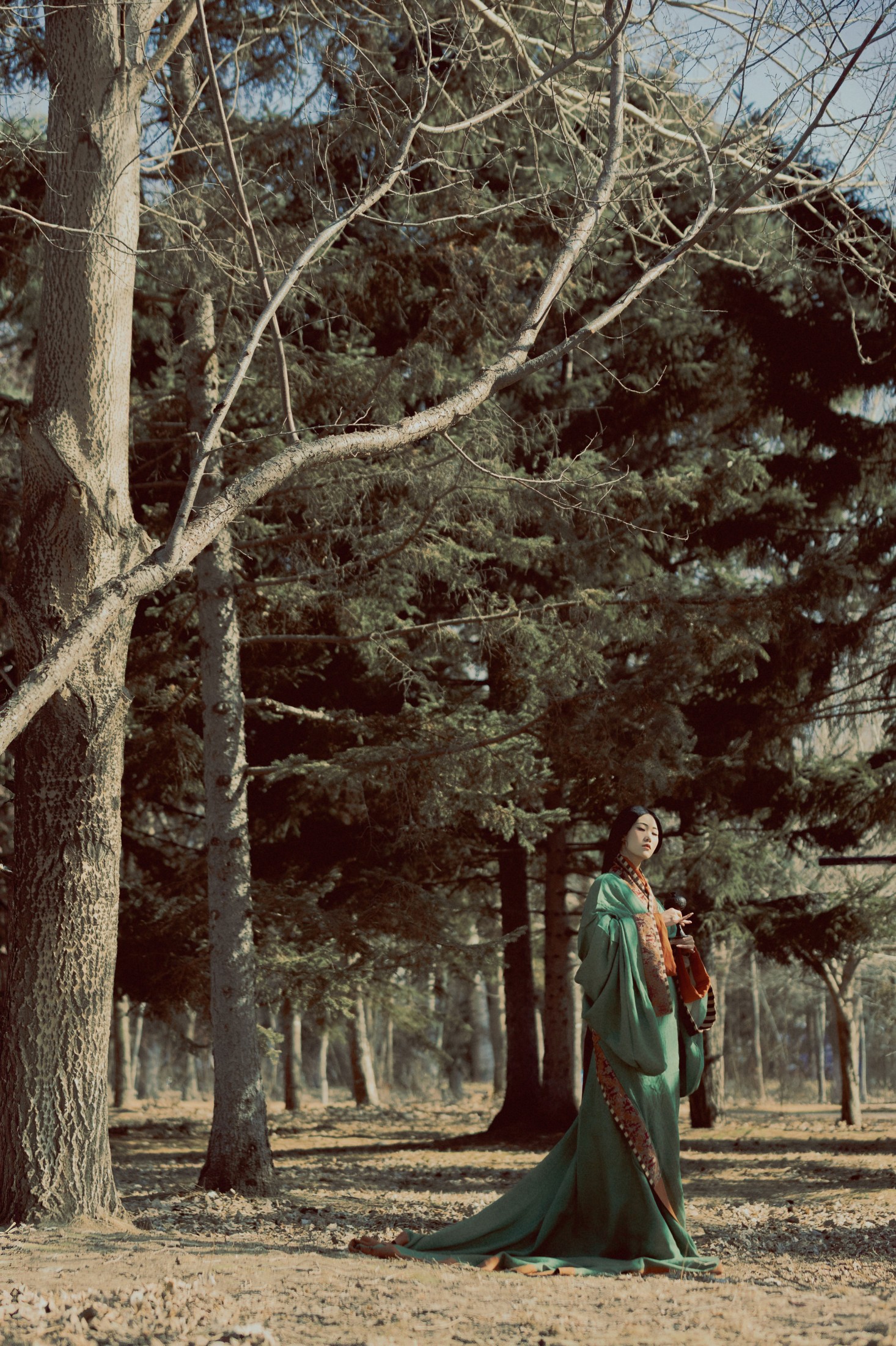 《苍松古道》[40P]