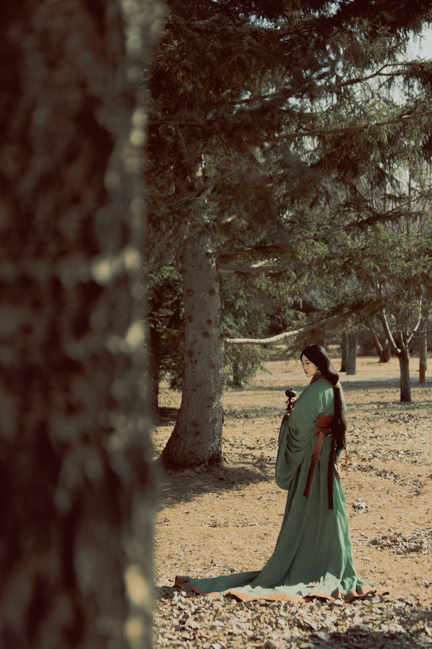 《苍松古道》[40P]