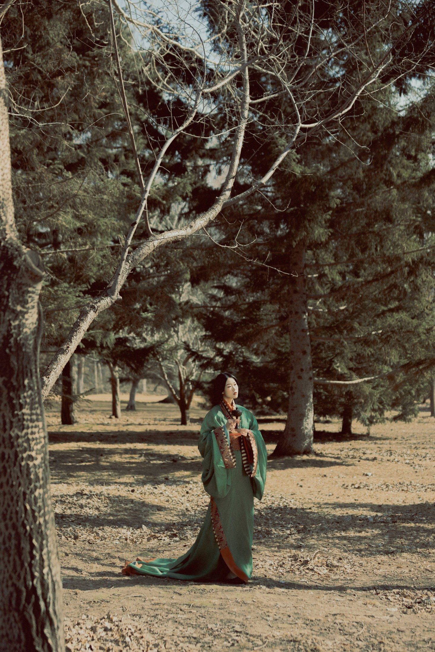 《苍松古道》[40P]