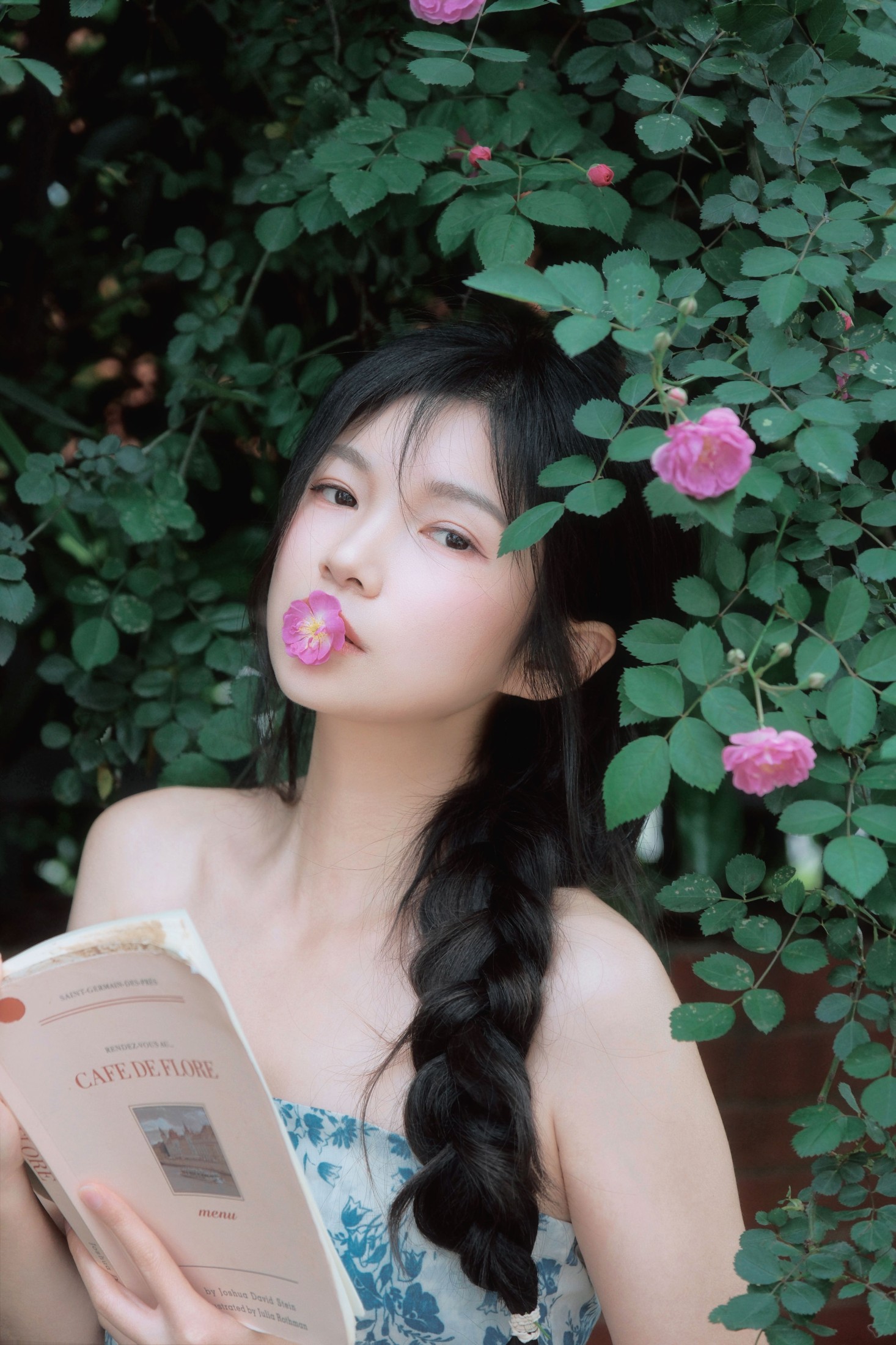 《蔷薇花开》[11P]