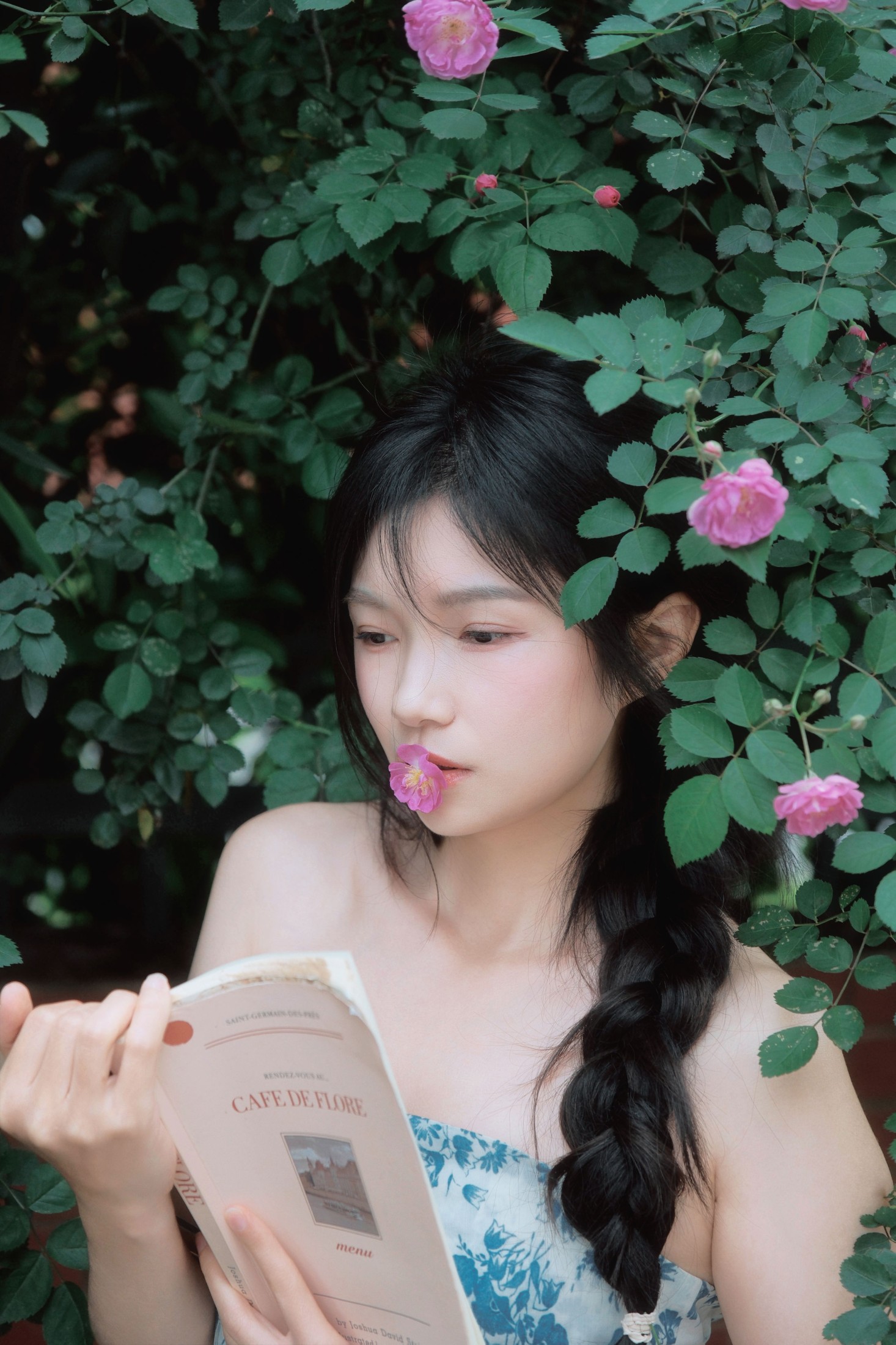 《蔷薇花开》[11P]