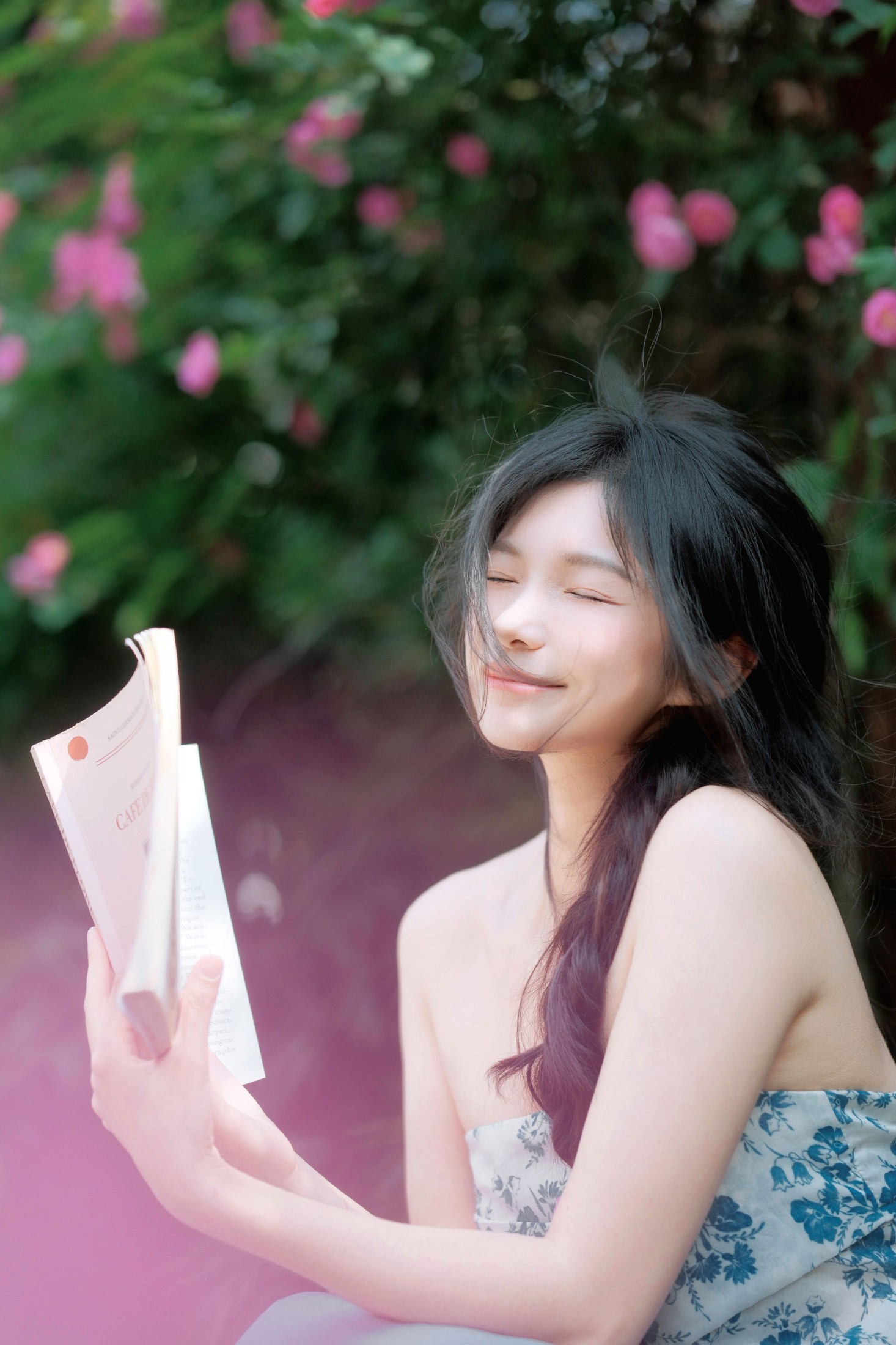 《蔷薇花开》[11P]