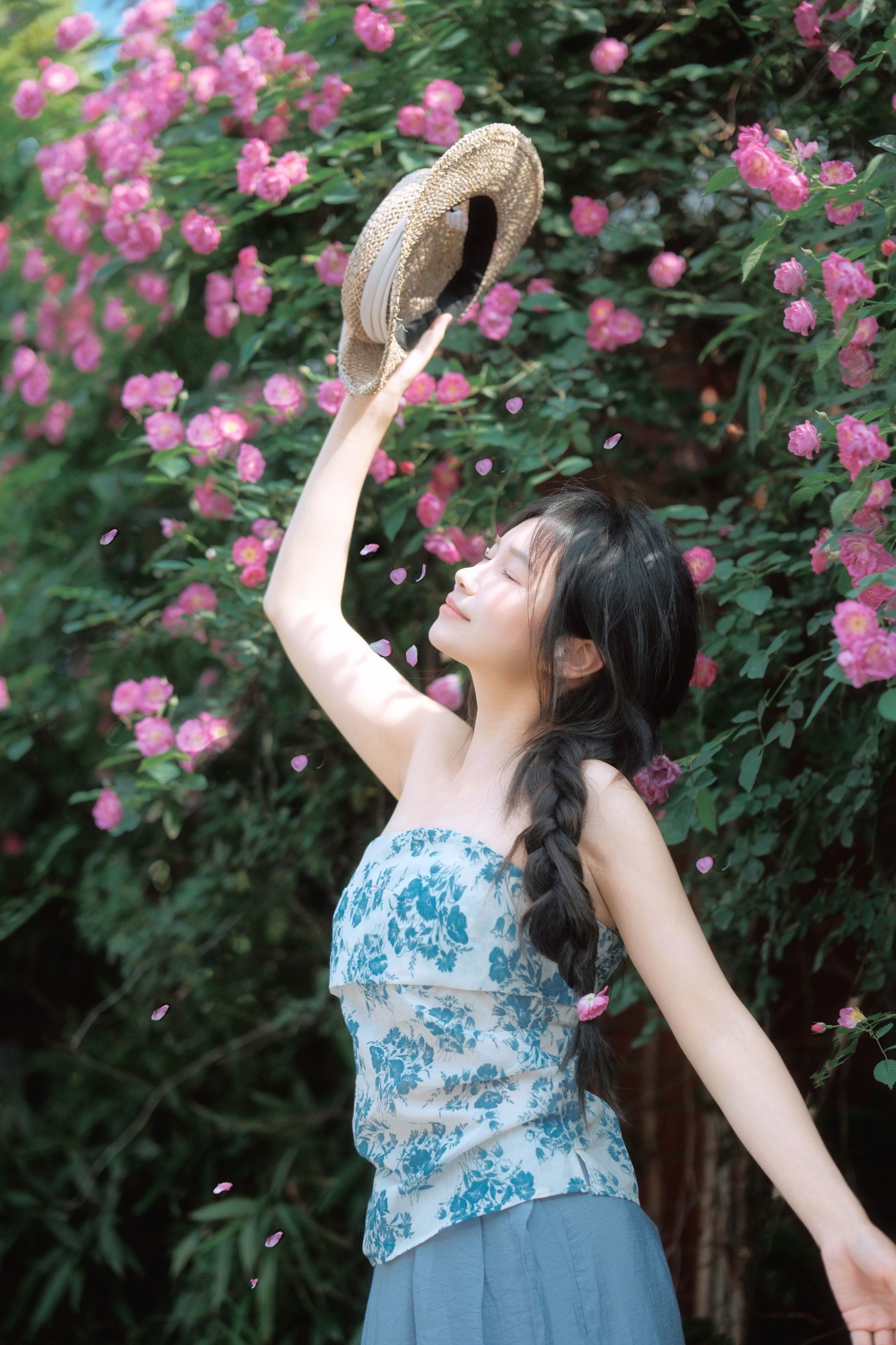 《蔷薇花开》[11P]