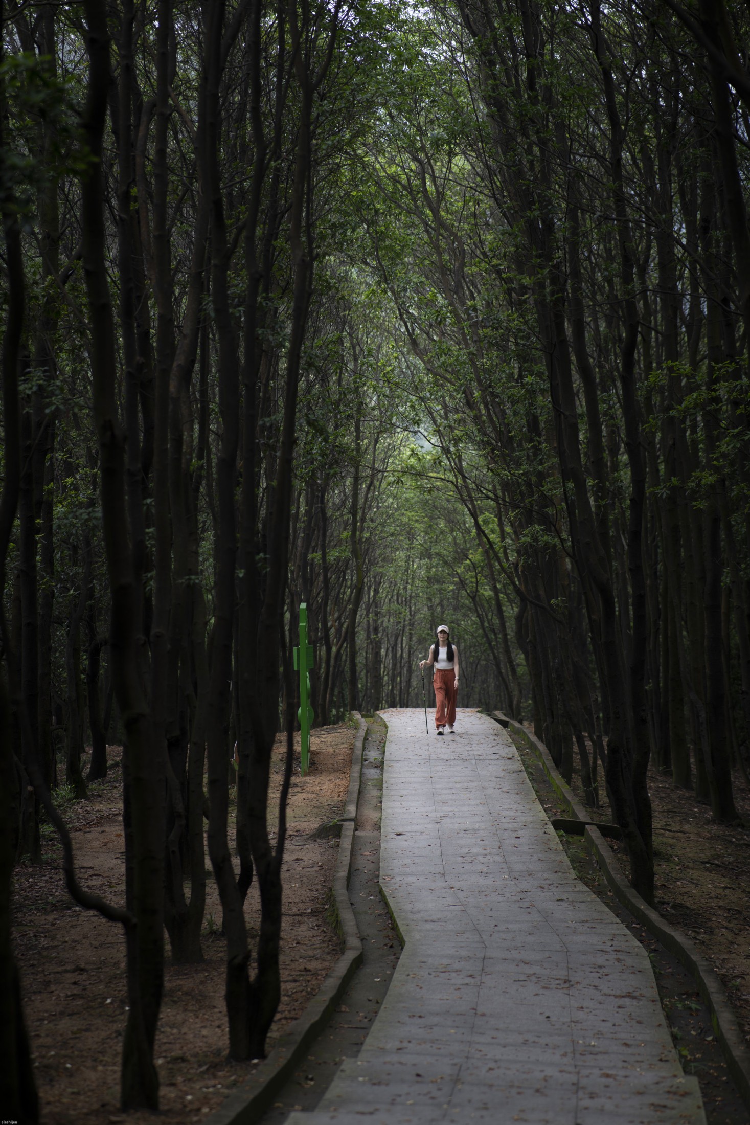 《环境人像》[18P]