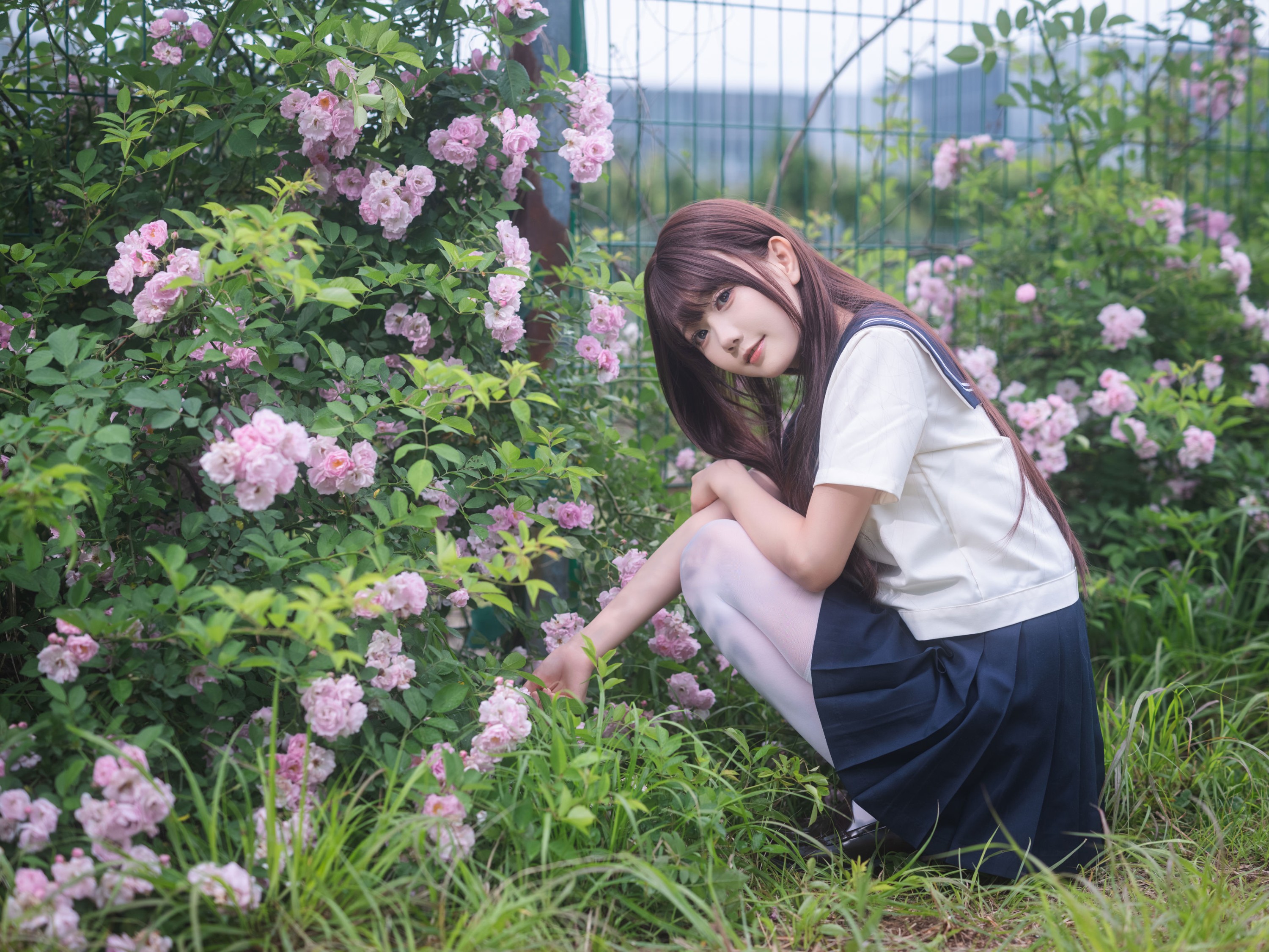 《蔷薇花JK》[27P]