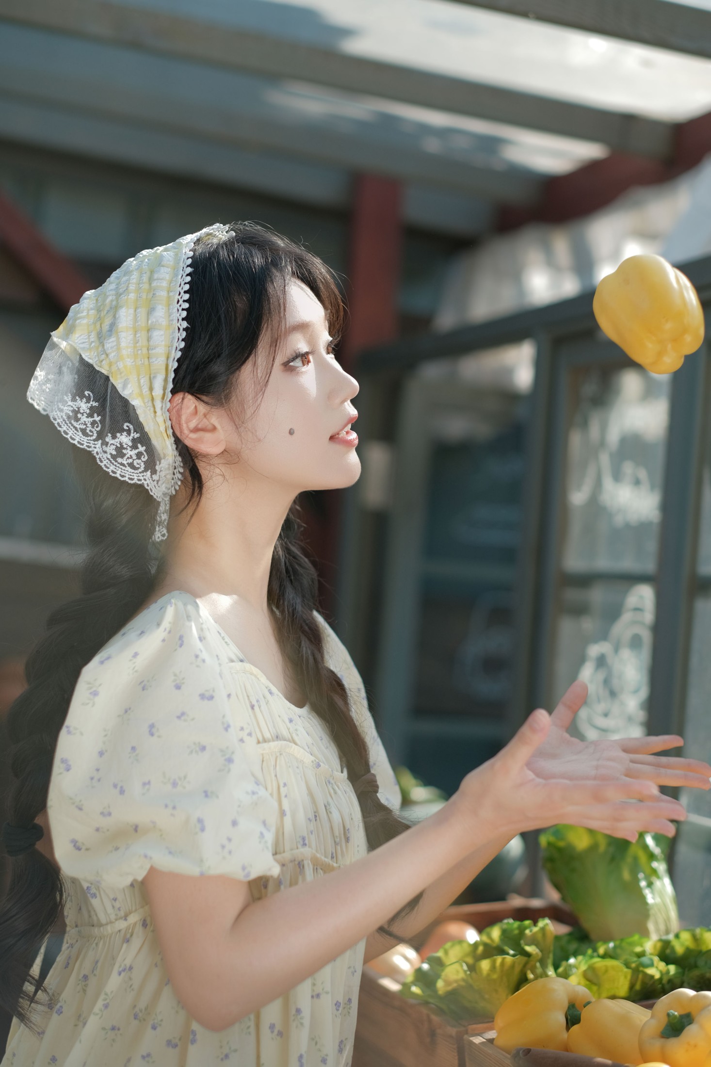 《田园日记》[13P]