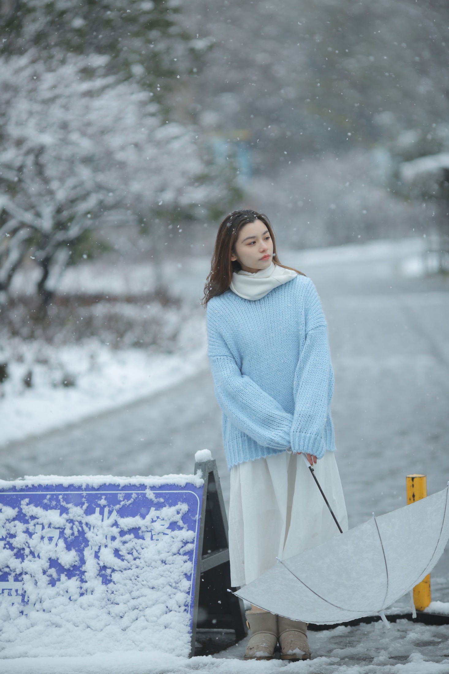《我画一只飞鸟，衔着白雪飞去》[11P]
