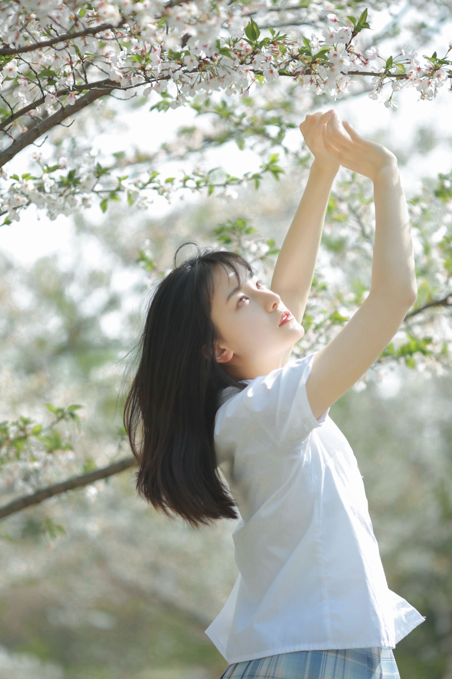 《等春风得意，等时间嘉许》[10P]