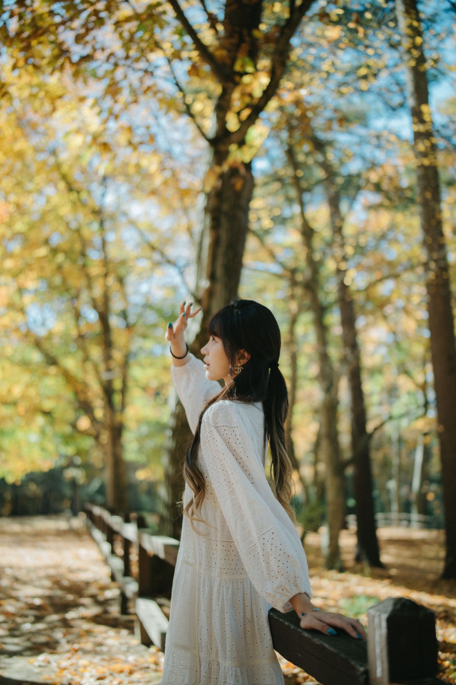 《Fall Vibes》[9P]