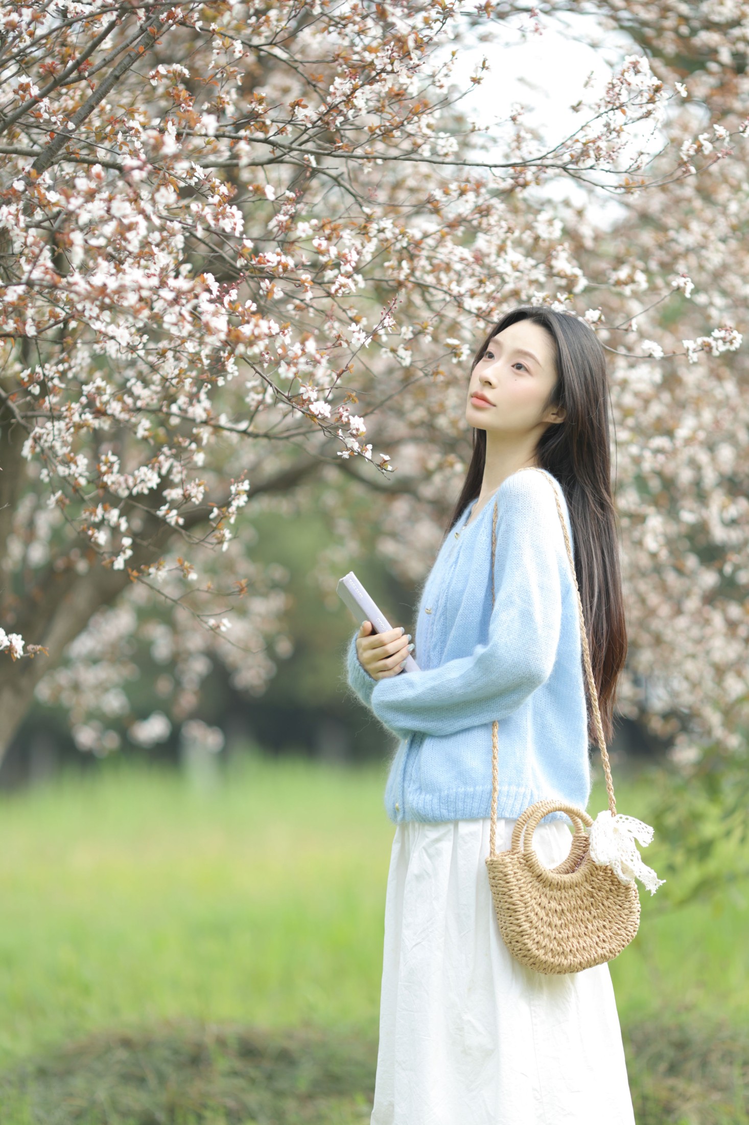 《杜松混合茉莉的风》[28P]