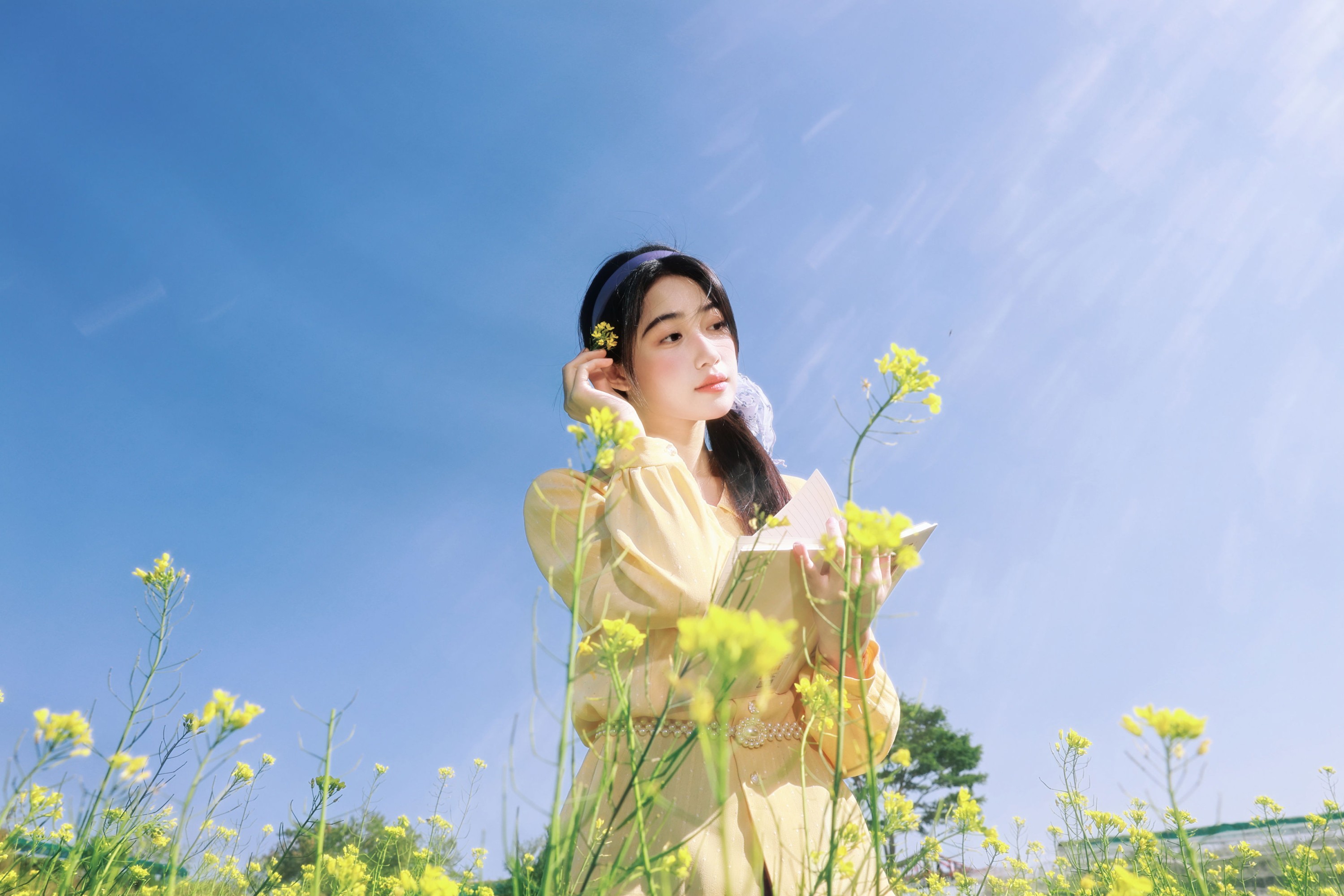 《黄与紫的春日诗篇，写在油菜花田里》[19P]